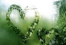 神贴出圈，YY文男孩走红网络！