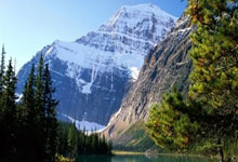 穿越'天涯'深夜看鬼故事论坛异事